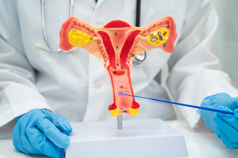 cervical smear test